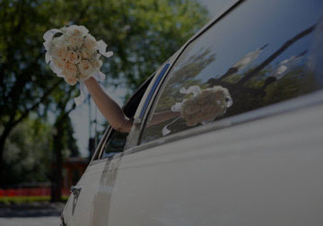 Tours & Transfers by Acteon airport